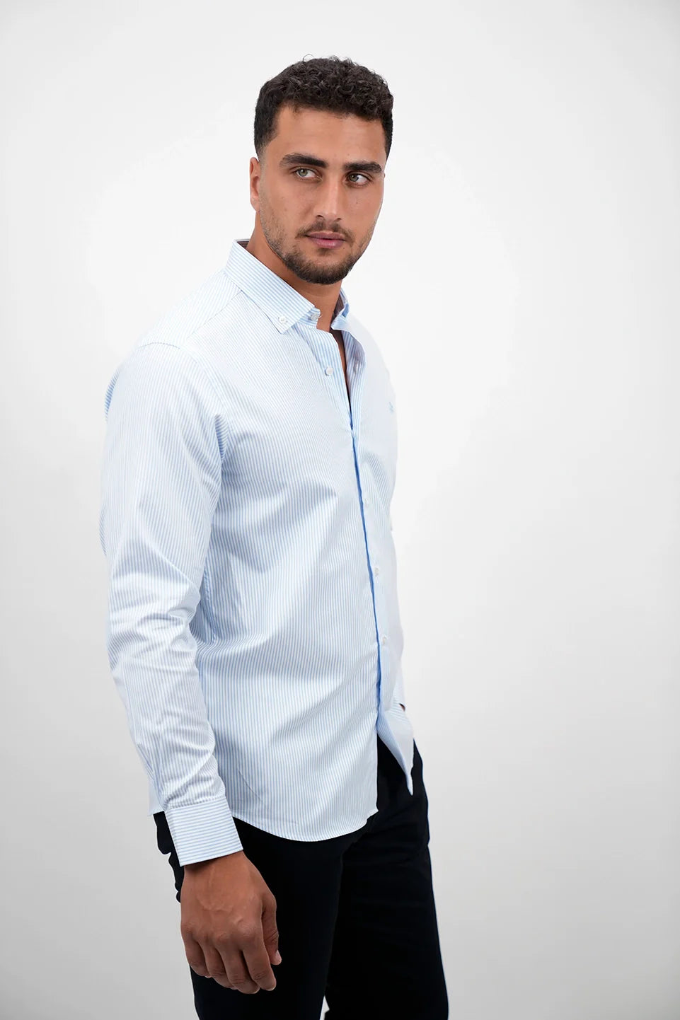 Long Sleeved Blue Stripe Shirt
