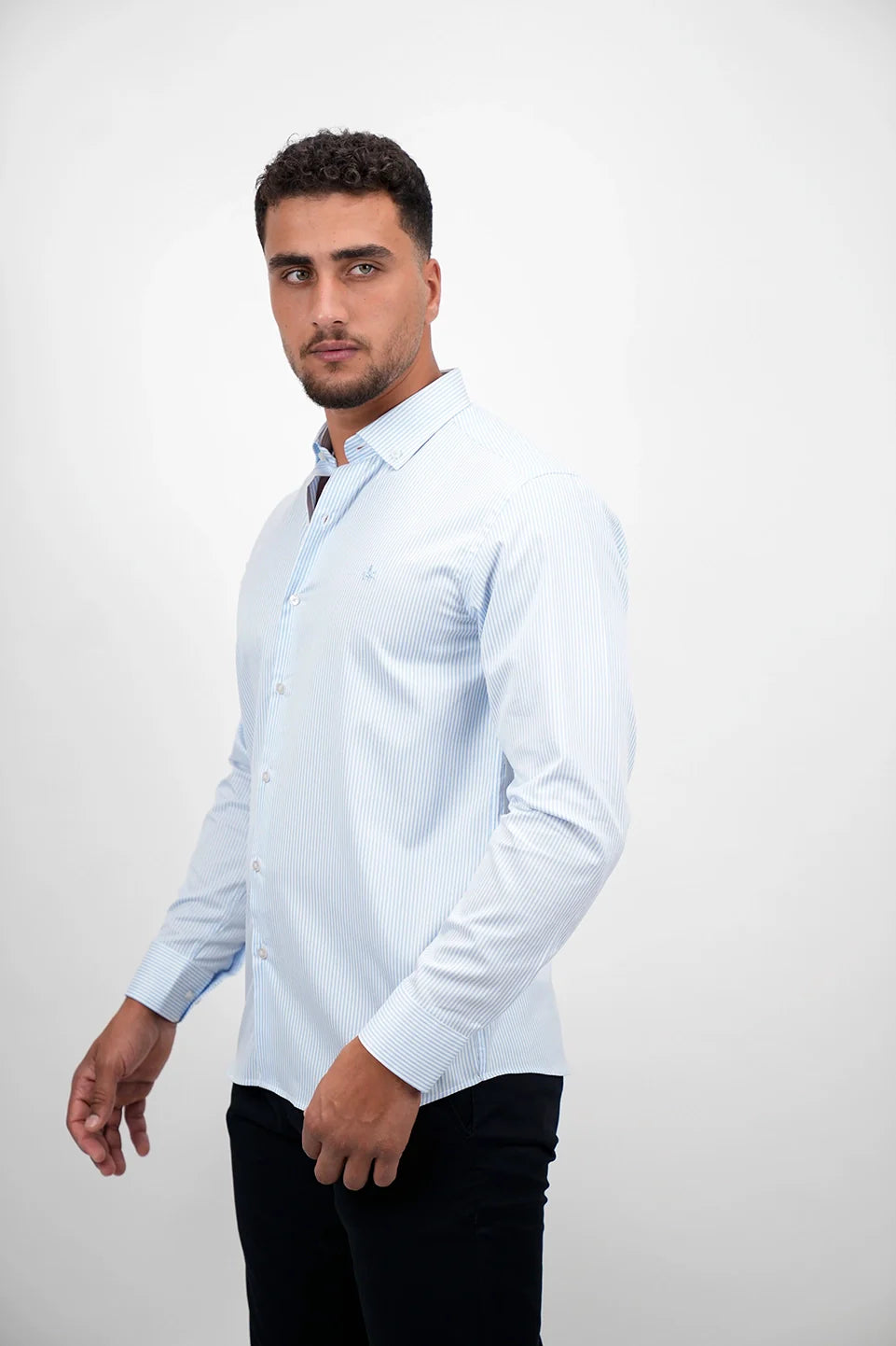 Long Sleeved Blue Stripe Shirt