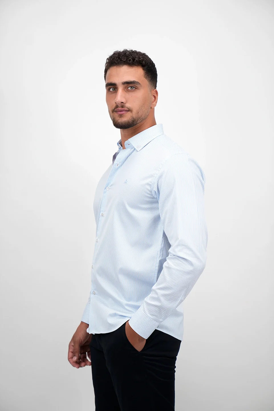 Long Sleeved Blue Stripe Shirt