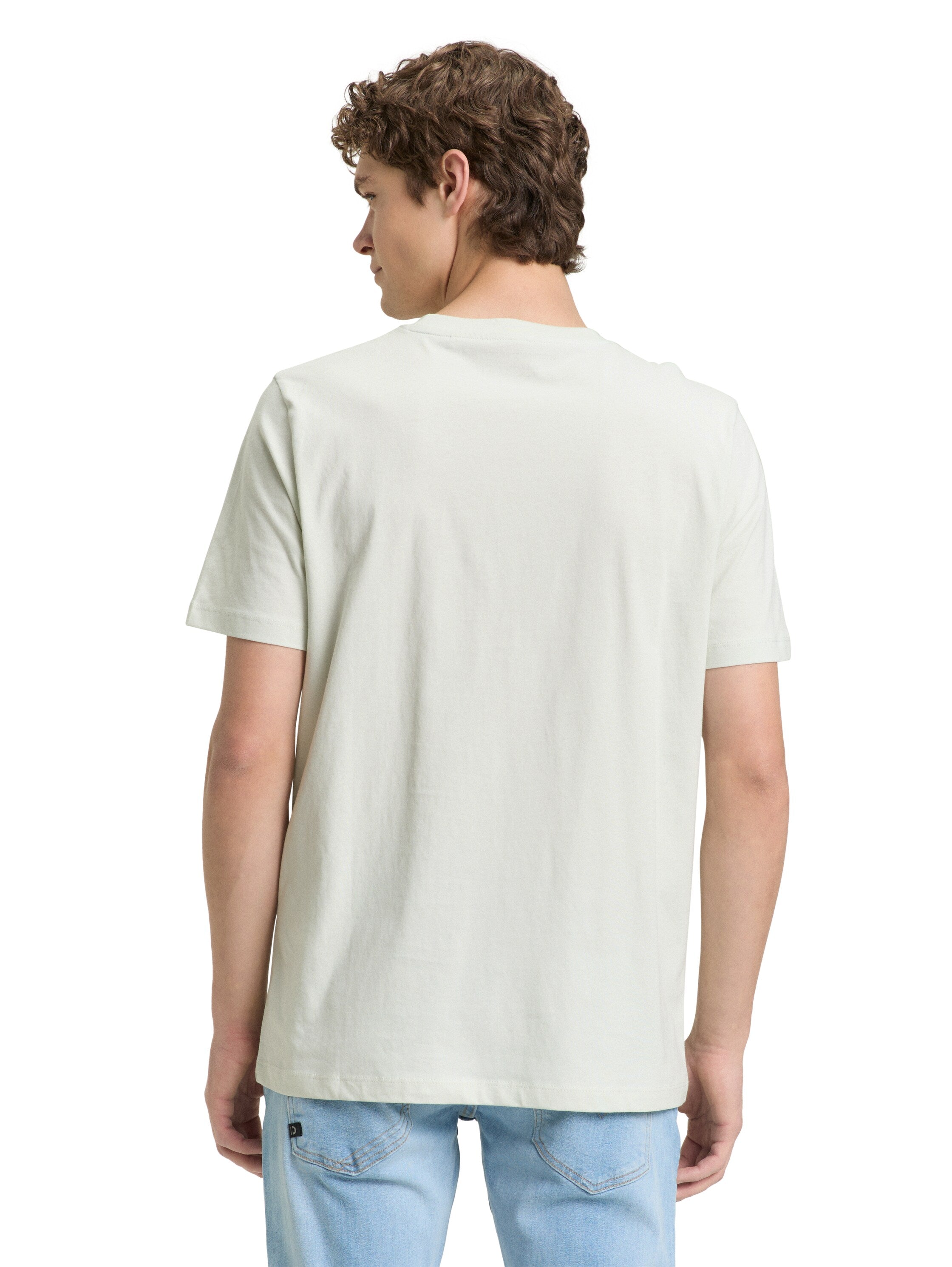 Tom Tailor Light Mint Round Neck T-Shirt With Printed Design