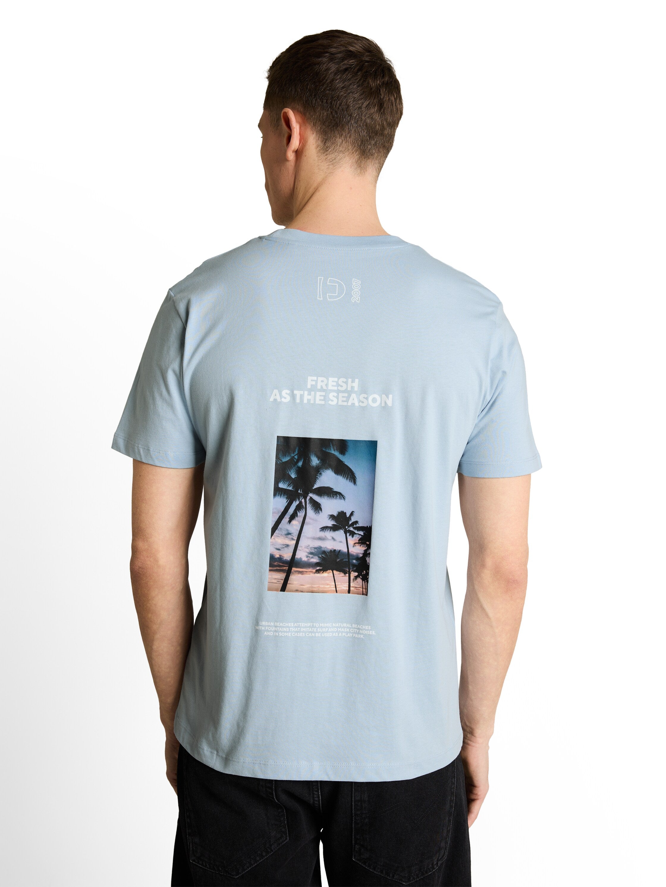 Tom Tailor Blue Round Neck T-Shirt With Back Design