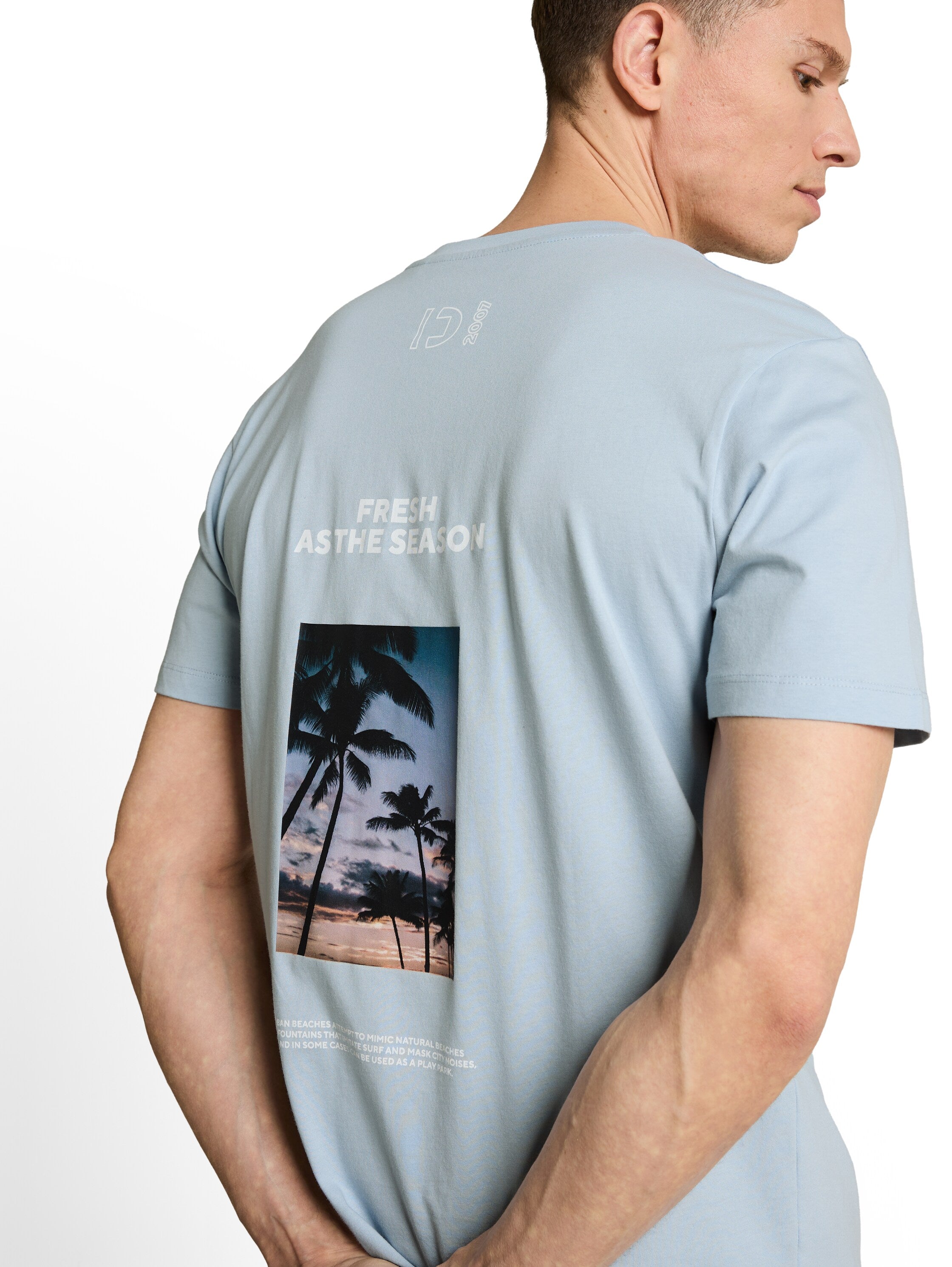 Tom Tailor Blue Round Neck T-Shirt With Back Design
