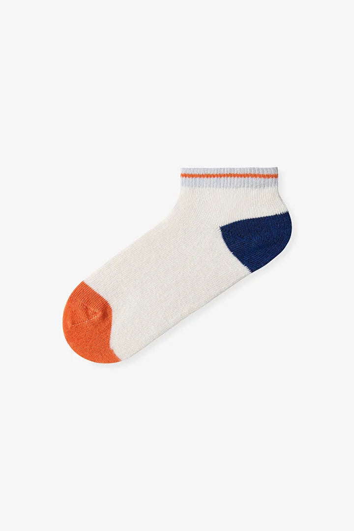 Penti Multicolor Boys Stripe Sky 4in1 Liner Socks
