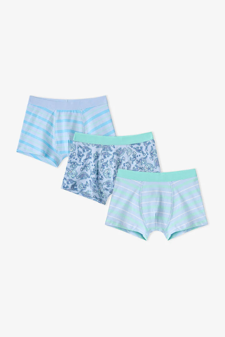 Penti Blue Dino Bones Striped Cotton 3-Pack Boxer Shorts