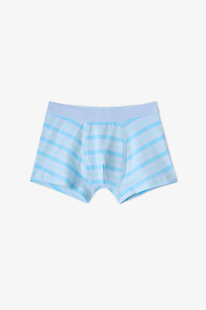 Penti Blue Dino Bones Striped Cotton 3-Pack Boxer Shorts