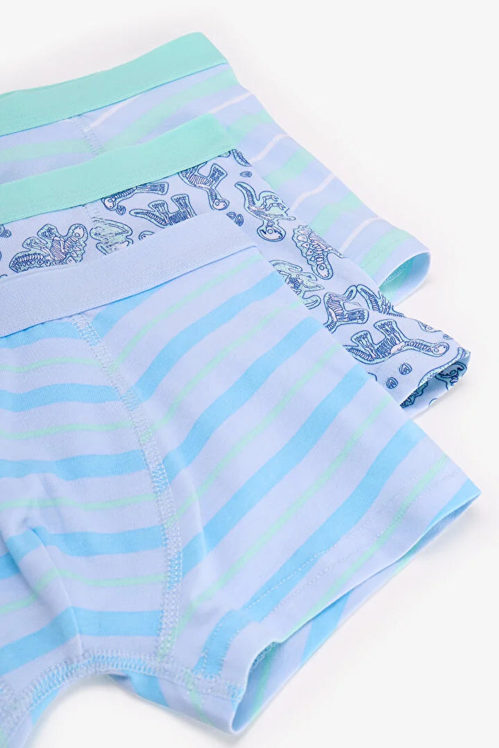 Penti Blue Dino Bones Striped Cotton 3-Pack Boxer Shorts