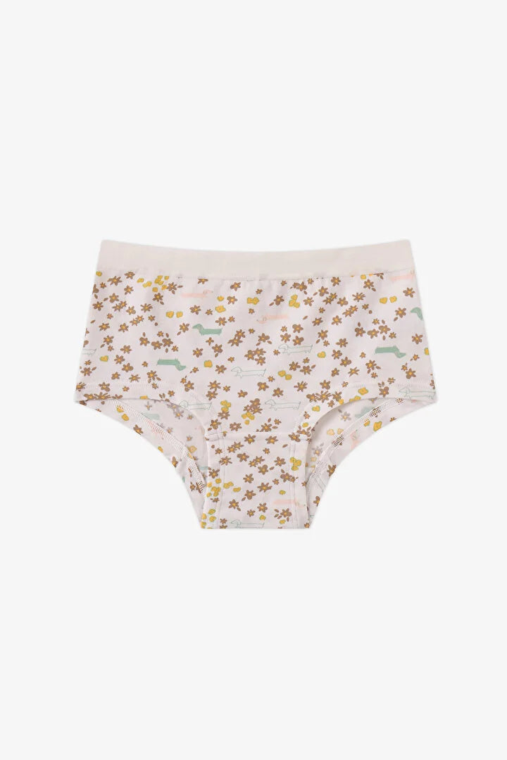 Penti Glow Dog Patterned 3-Pack Hipster Panties