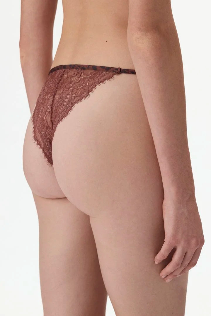 Penti Brown Printed Micro Lace Leopard Print Brazilian Briefs
