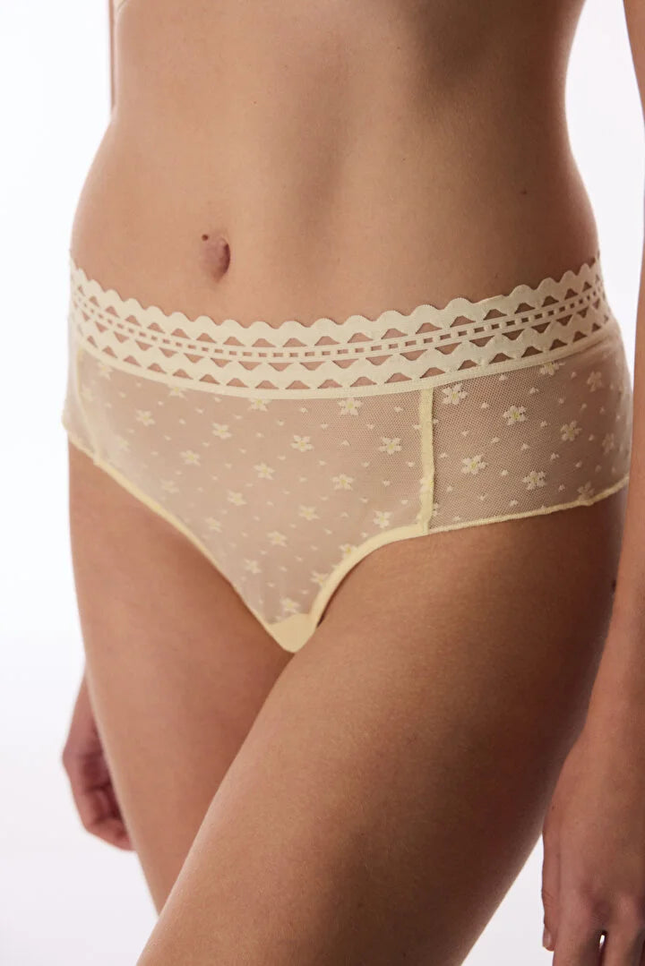Penti Yellow Cheeky Lace Hipster