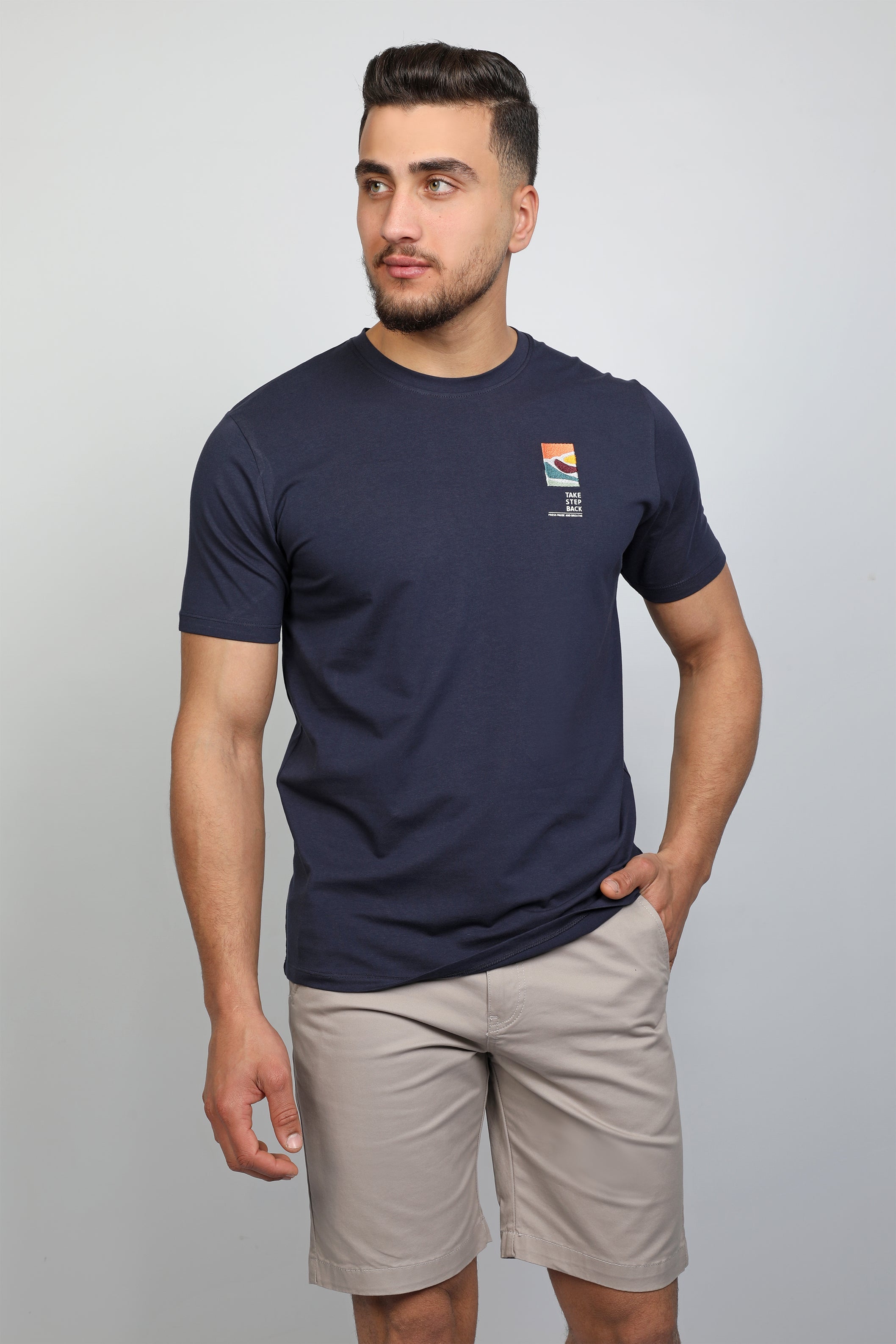 Men Summer Navy T-shirt