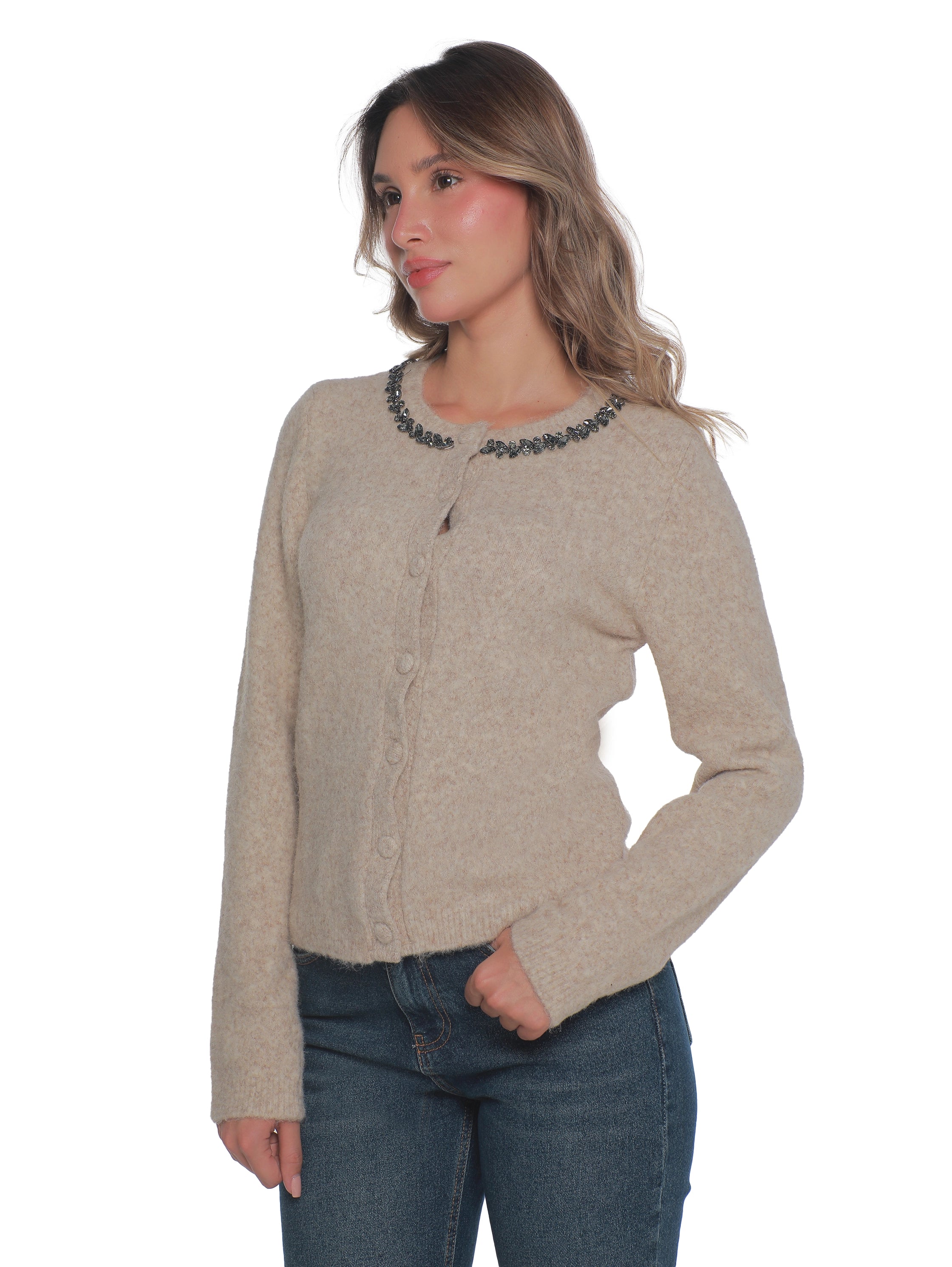 Beige Pullover With Collar Design