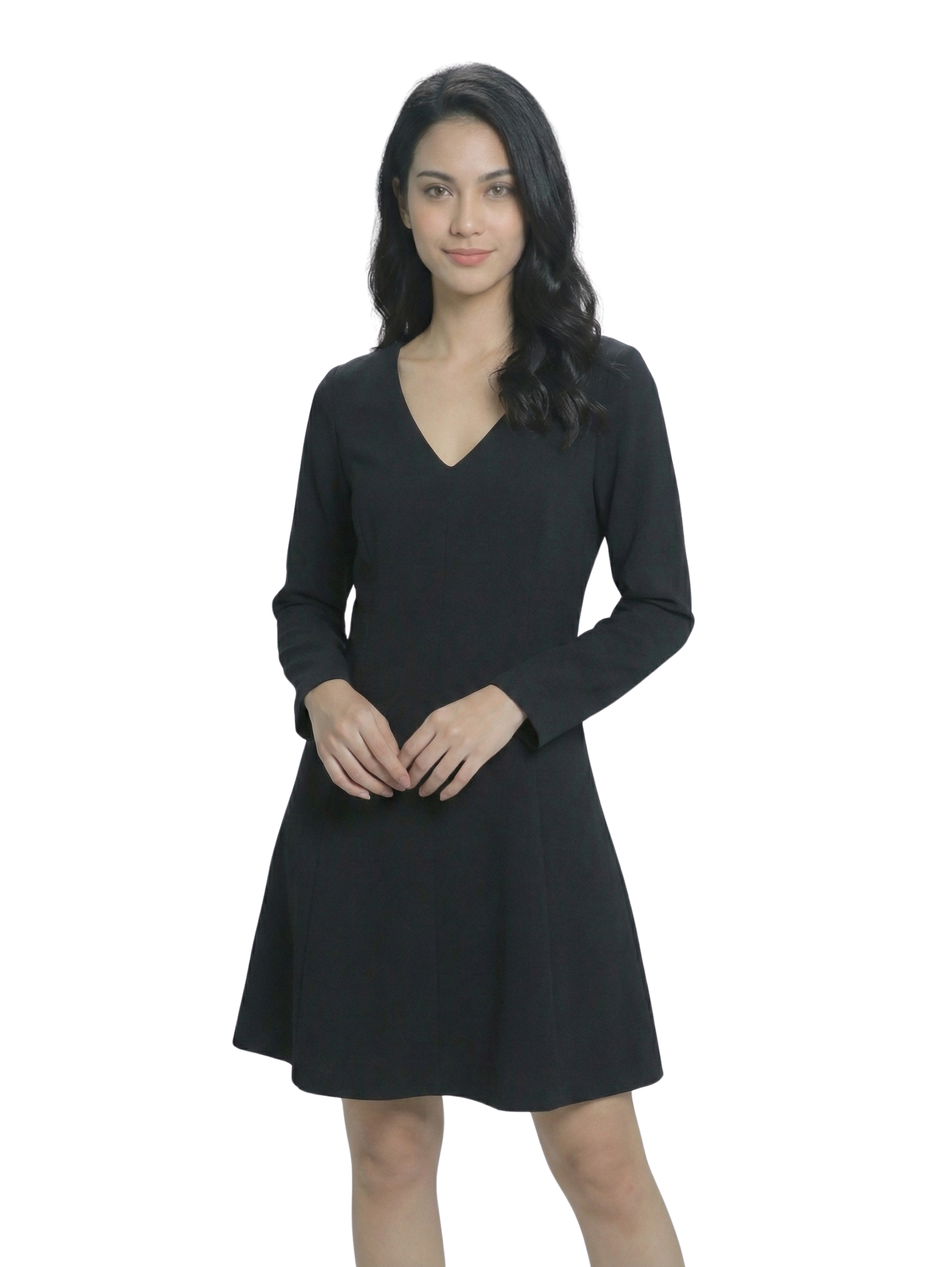 Long Sleeved Classy Black V-Neck Dress