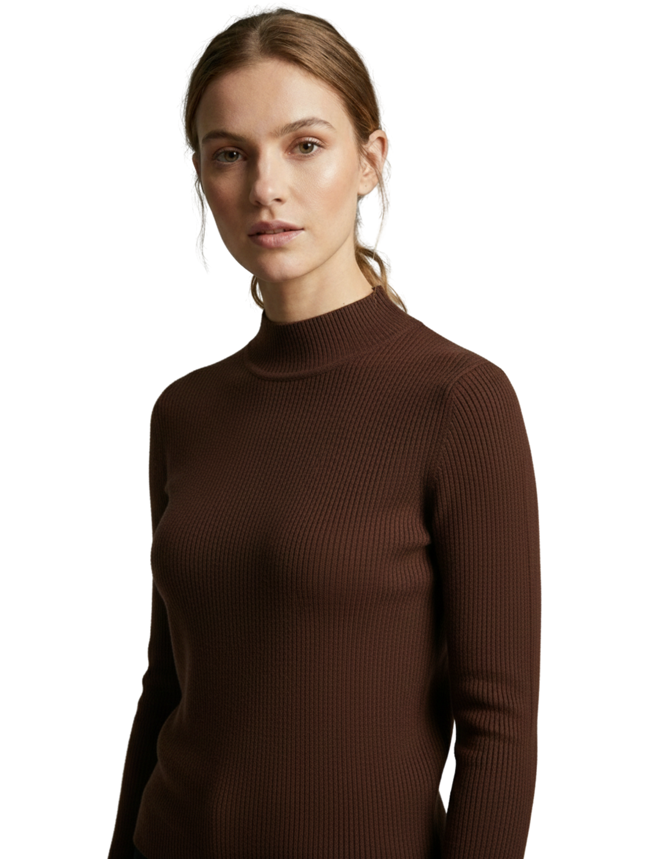 Long Sleeved Brown Sweater Stand up Collar