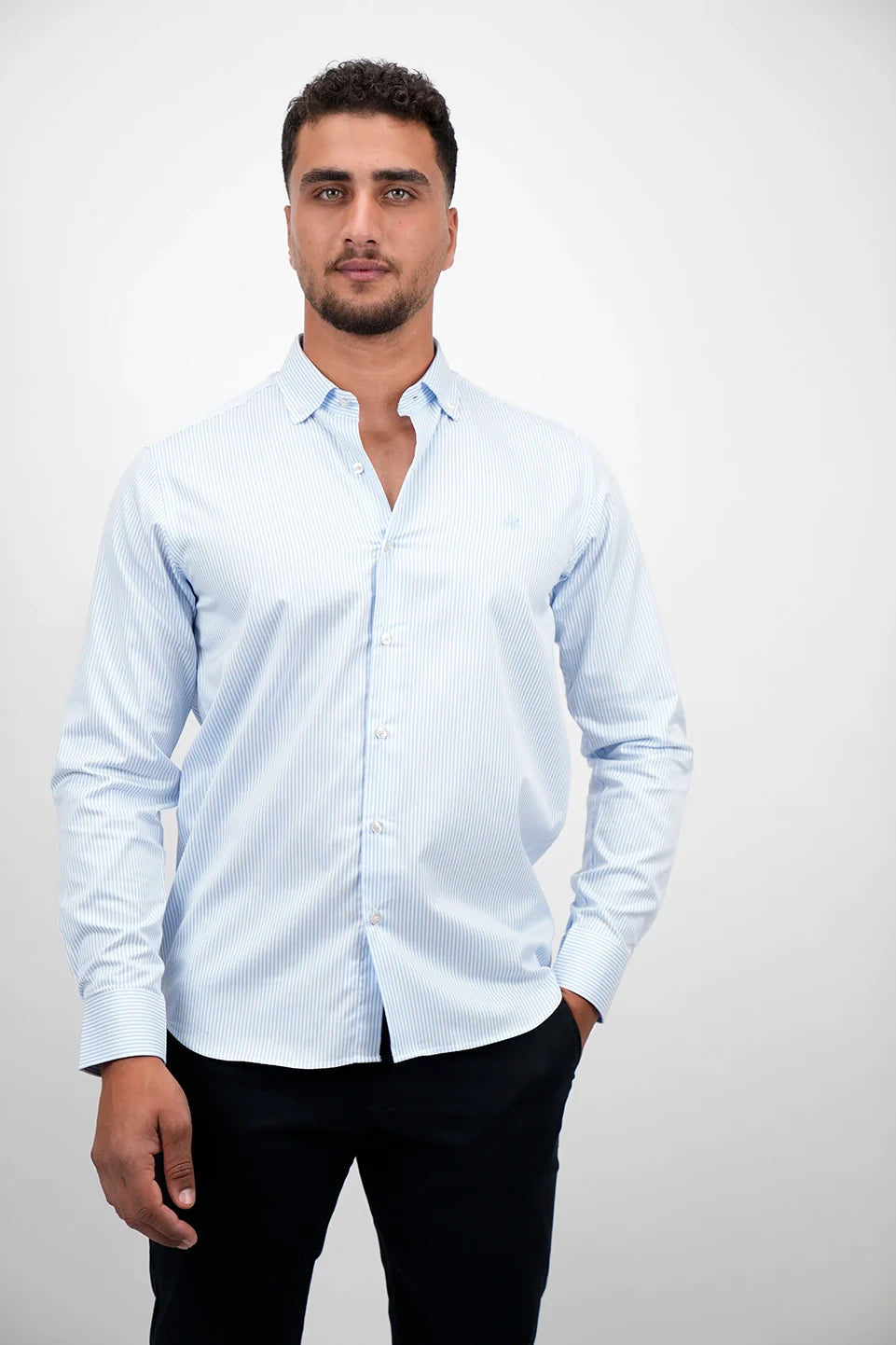 Long Sleeved Blue Stripe Shirt