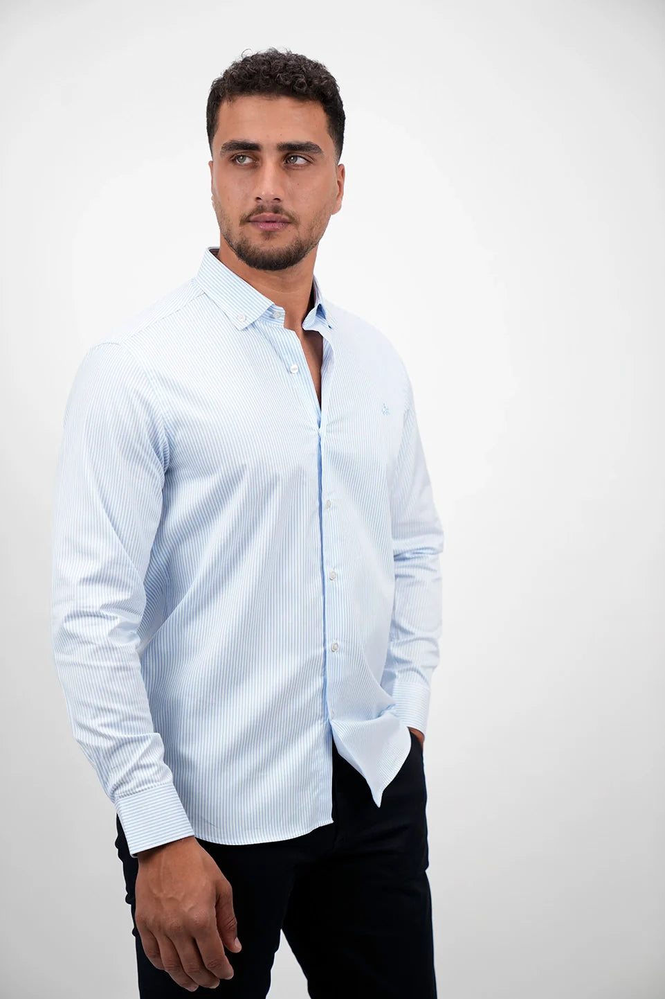 Long Sleeved Blue Stripe Shirt