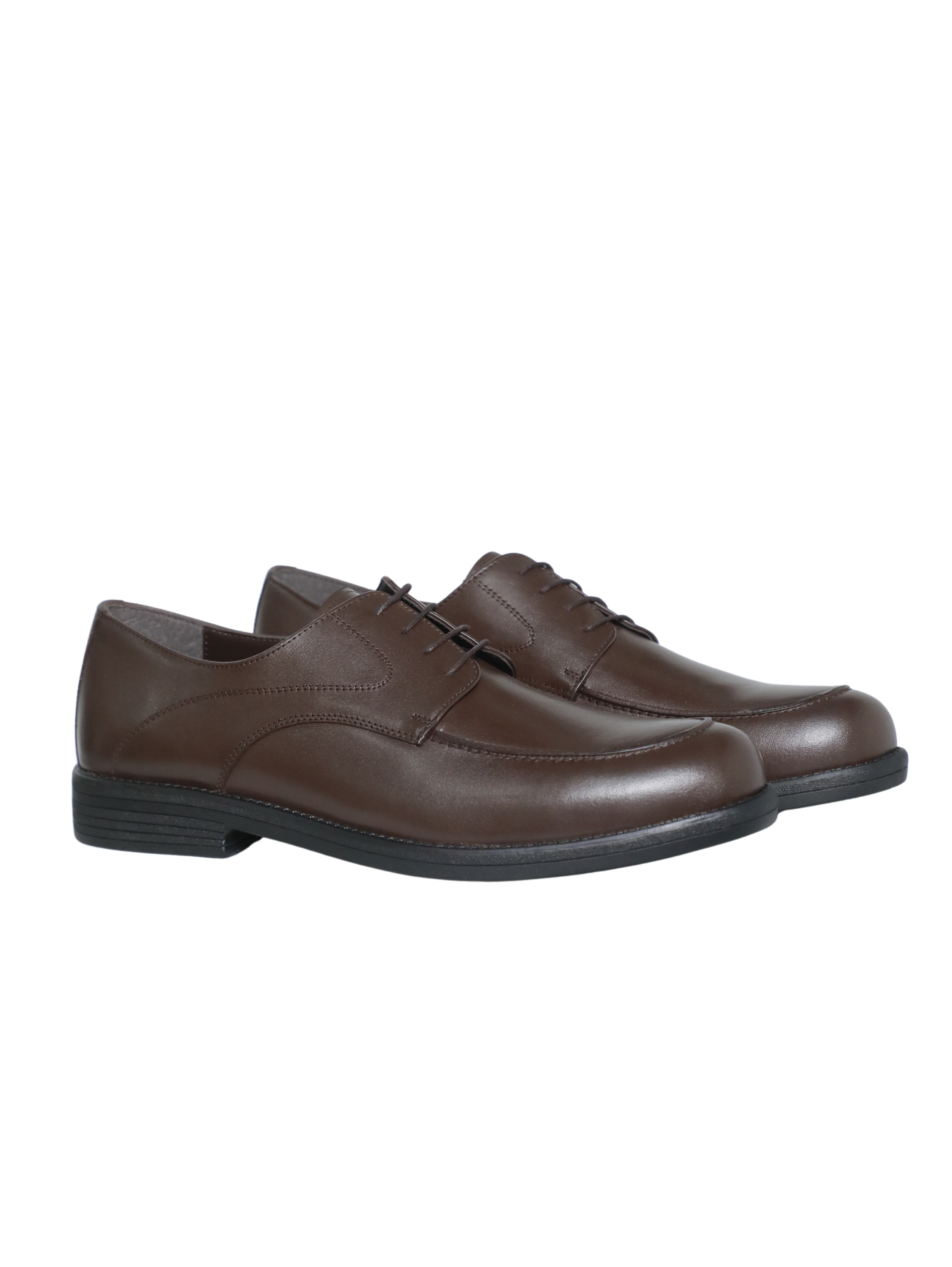 Brown Classic Leather Shoes