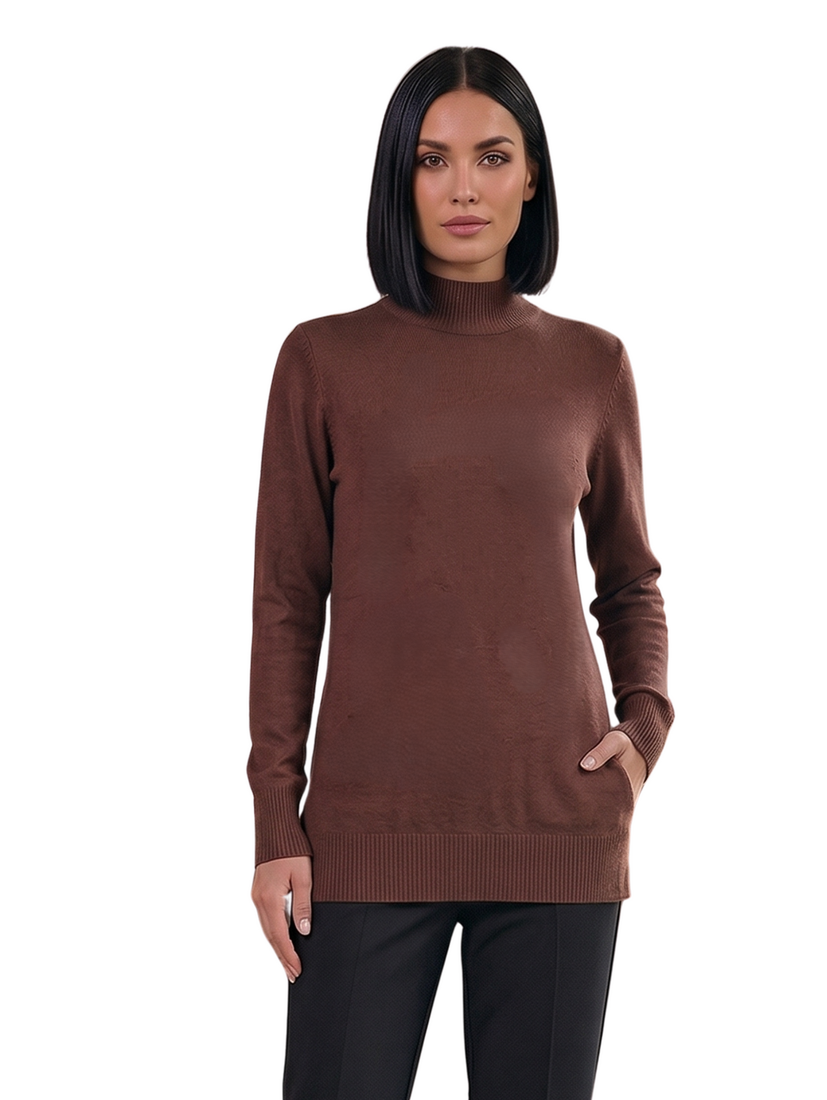 Brown Burgundy Ribbed Turtleneck Pullover