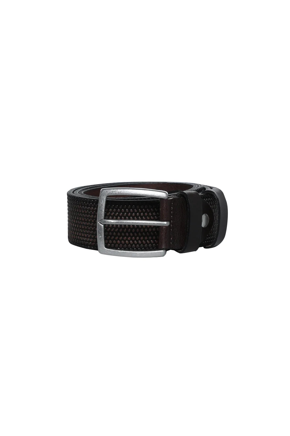 Casual Brown Belt