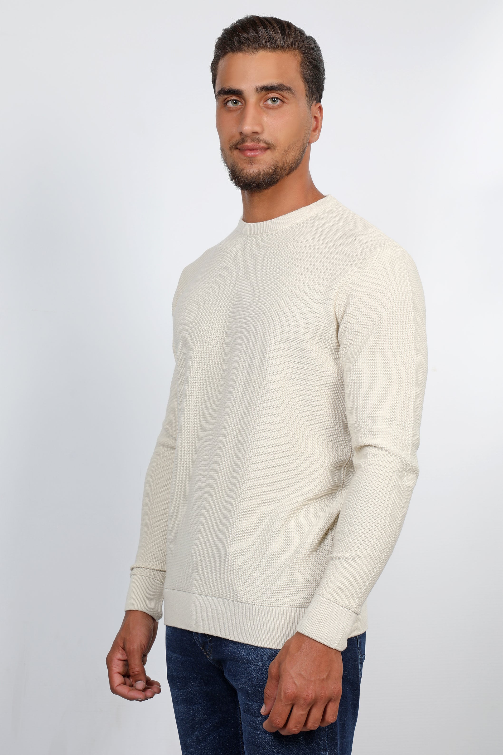 Men Basic Beige Classy Sweater