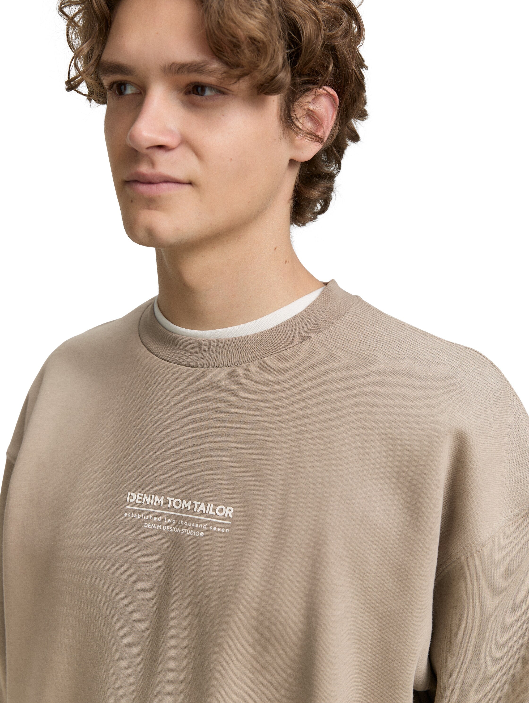Tom Tailor Relaxed Roasted Brown Sweater With Logo Print