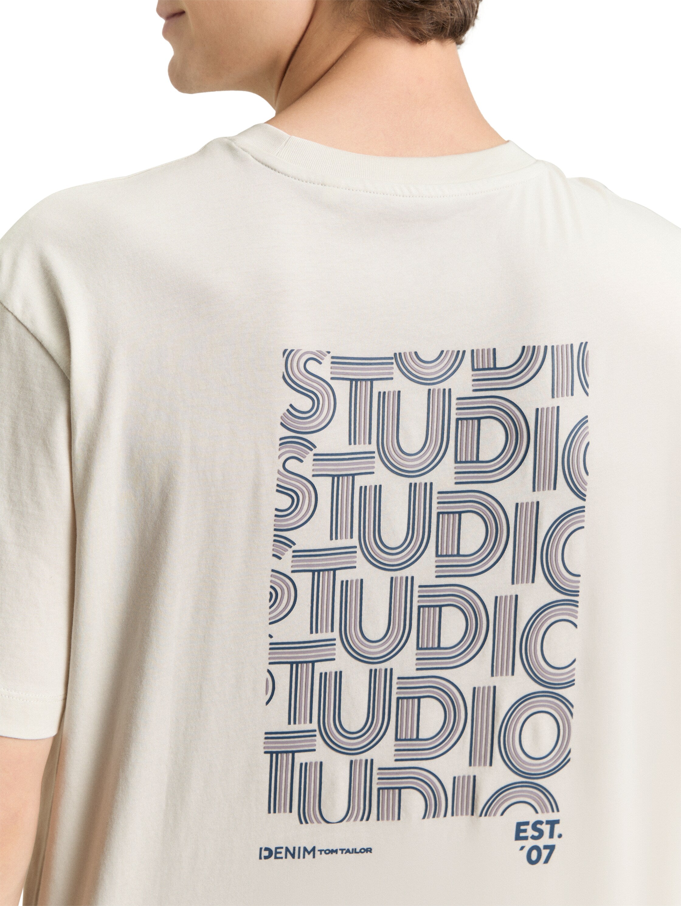 Tom Tailor Greyish White Round Neck T-Shirt With Back Printed Design