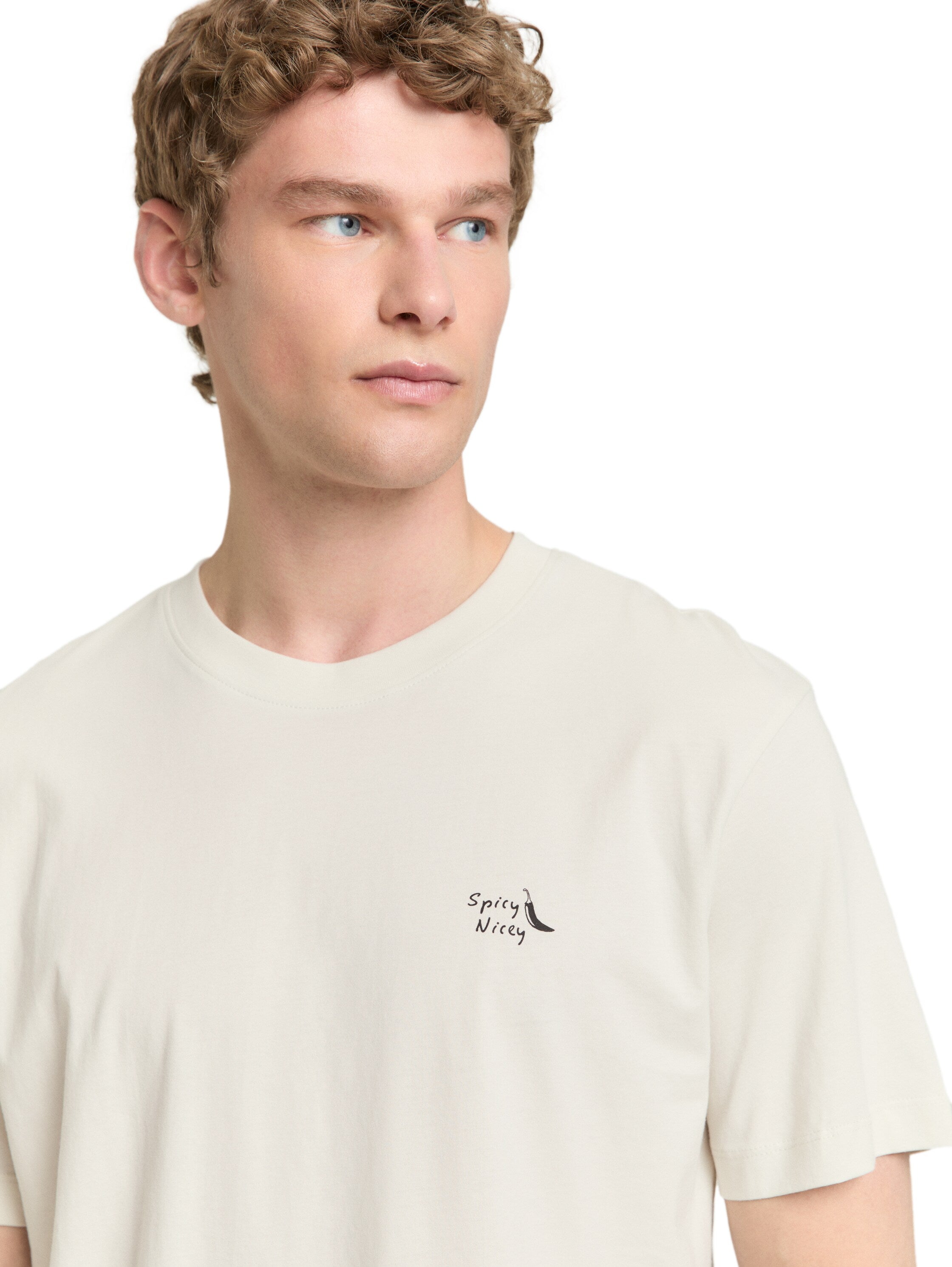 Tom Tailor Greyish White Relaxed Fit Cotton T-shirt