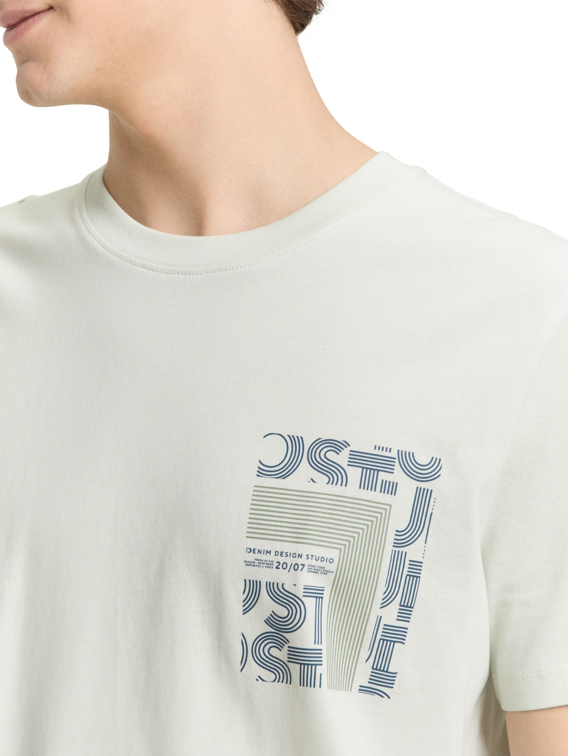 Tom Tailor Light Mint Round Neck T-Shirt With Printed Design