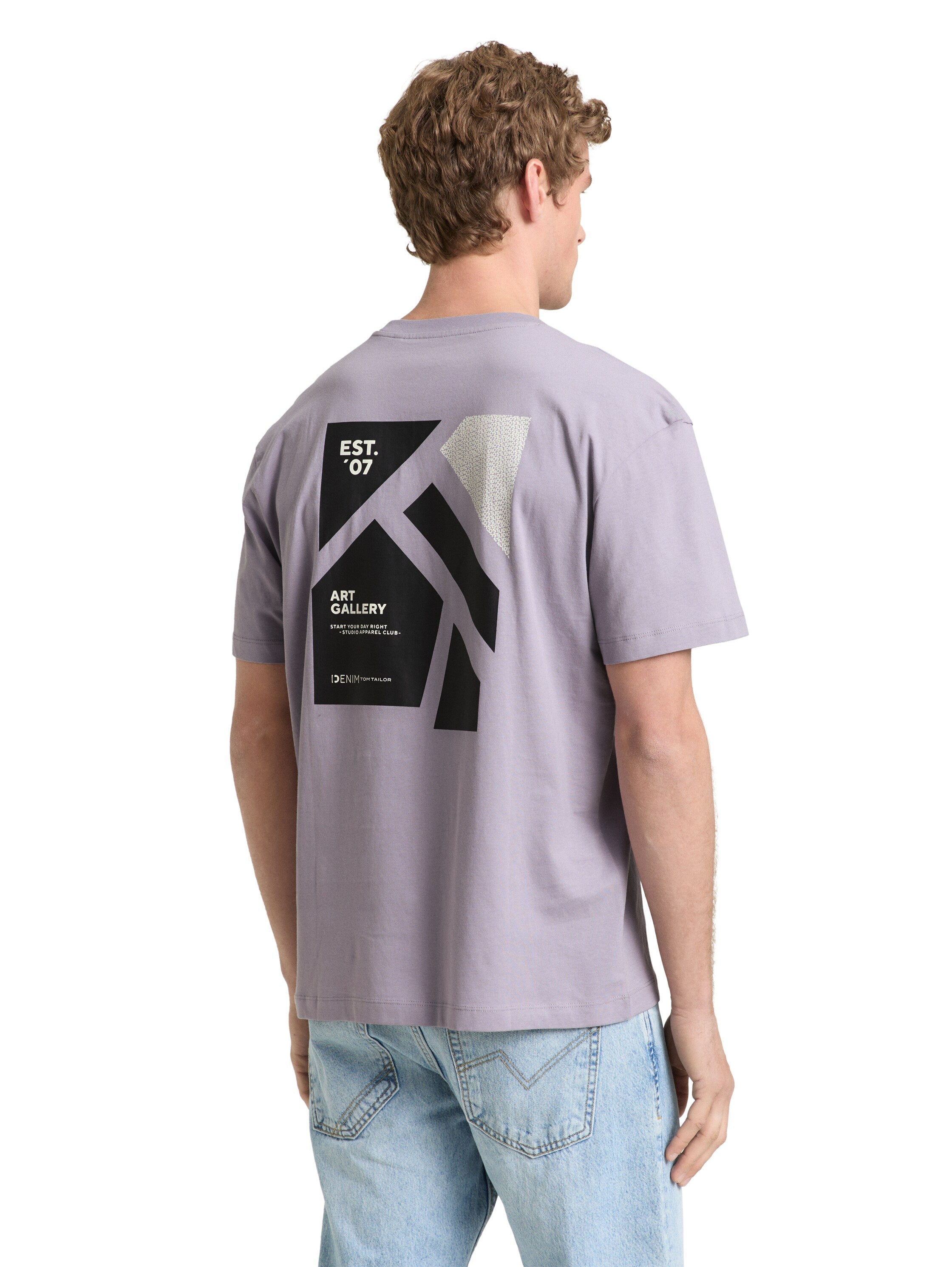 Tom Tailor Lilac Grey Round Neck T-Shirt With Back Printed Design
