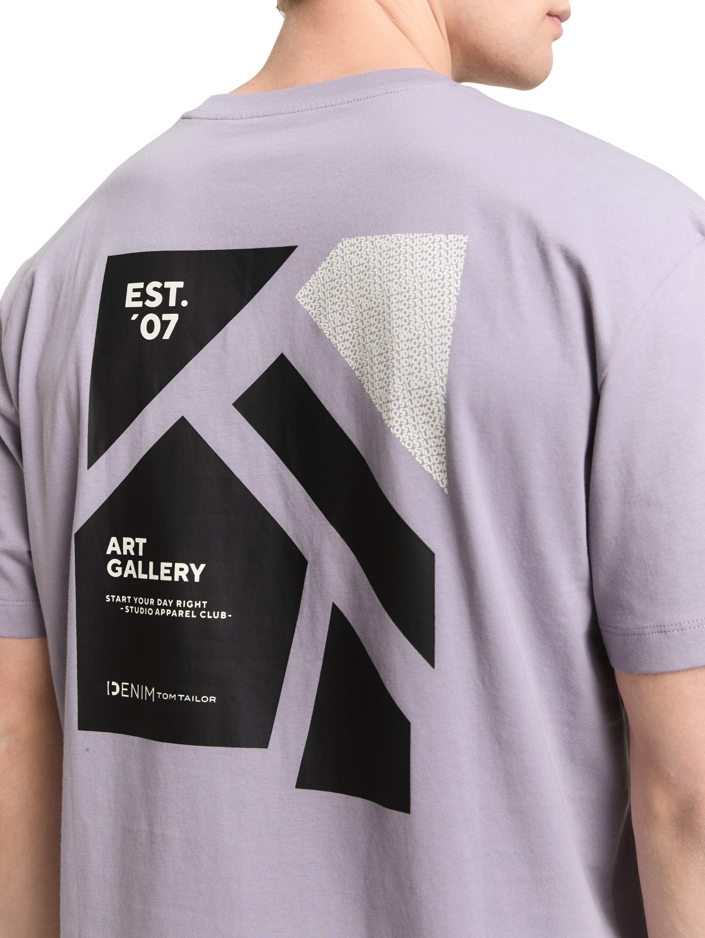 Tom Tailor Lilac Grey Round Neck T-Shirt With Back Printed Design