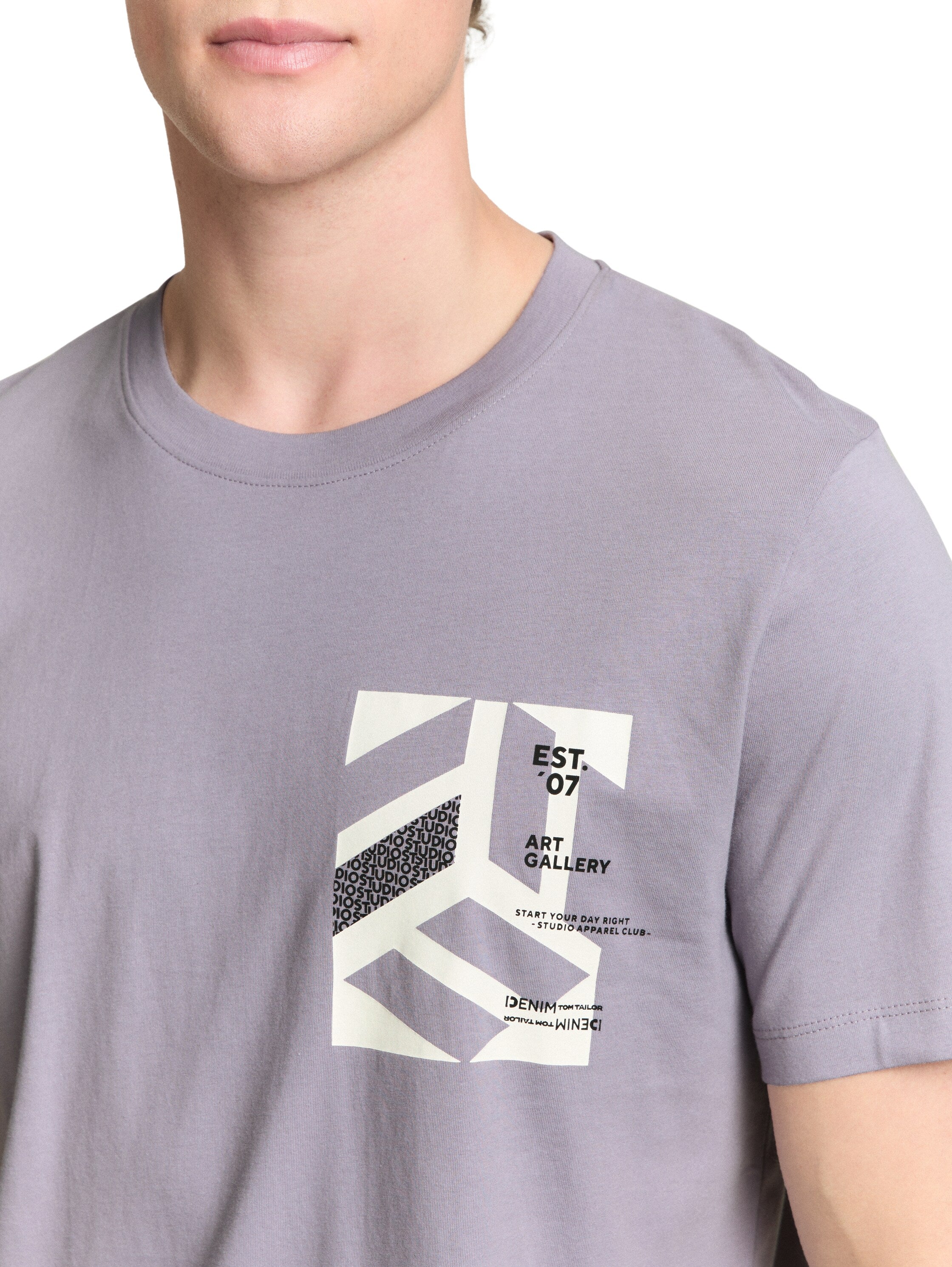 Tom Tailor Lilac Grey Round Neck T-Shirt With Printed Design