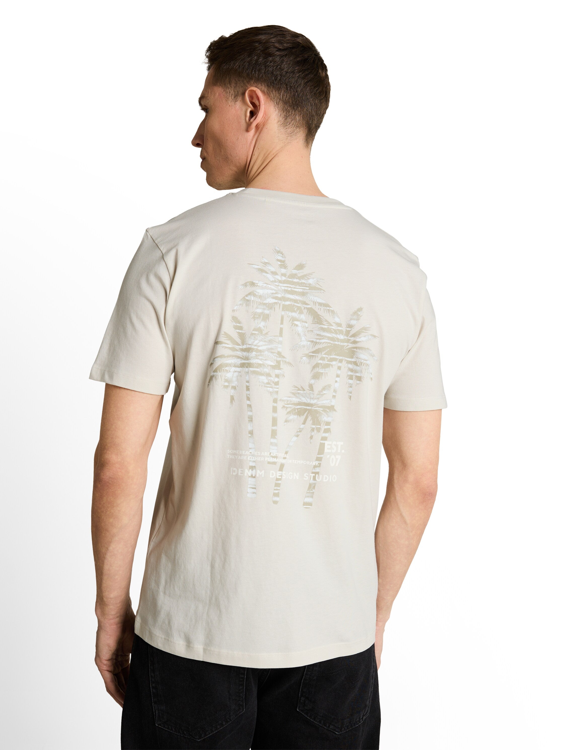 Tom Tailor Greyish White T-Shirt With Back Print