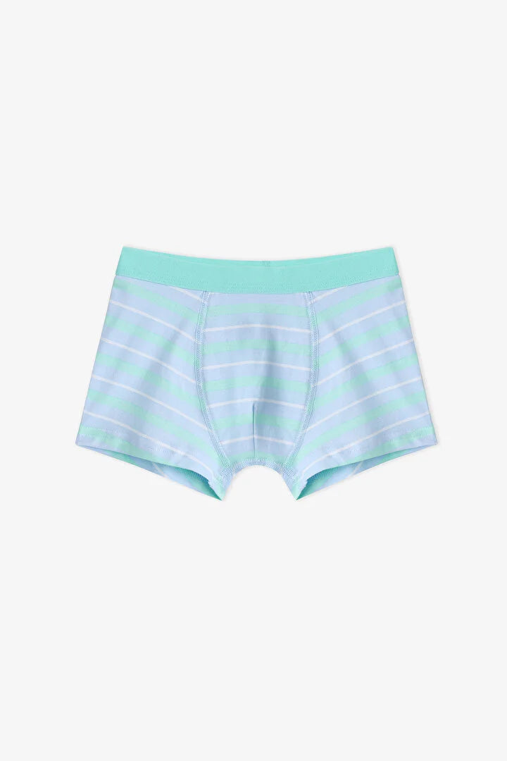 Penti Blue Dino Bones Striped Cotton 3-Pack Boxer Shorts