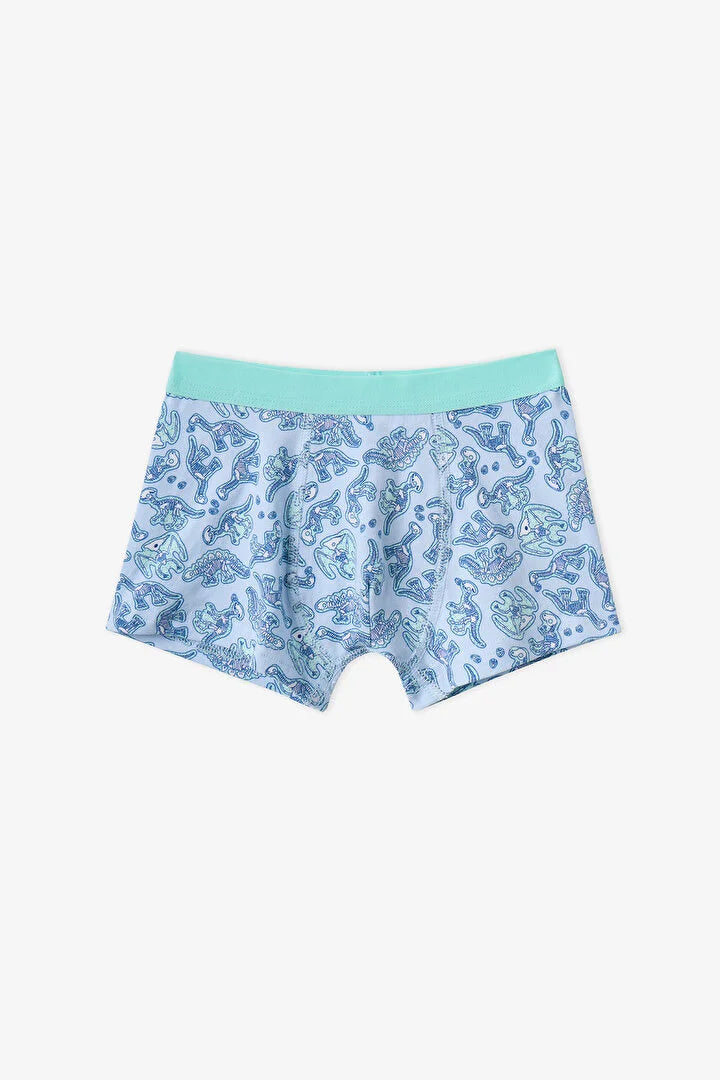 Penti Blue Dino Bones Striped Cotton 3-Pack Boxer Shorts