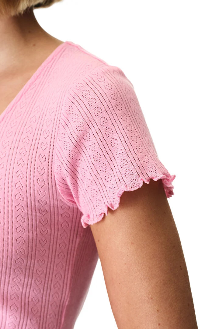 Penti Pink Pointel Shorts Pajama Set
