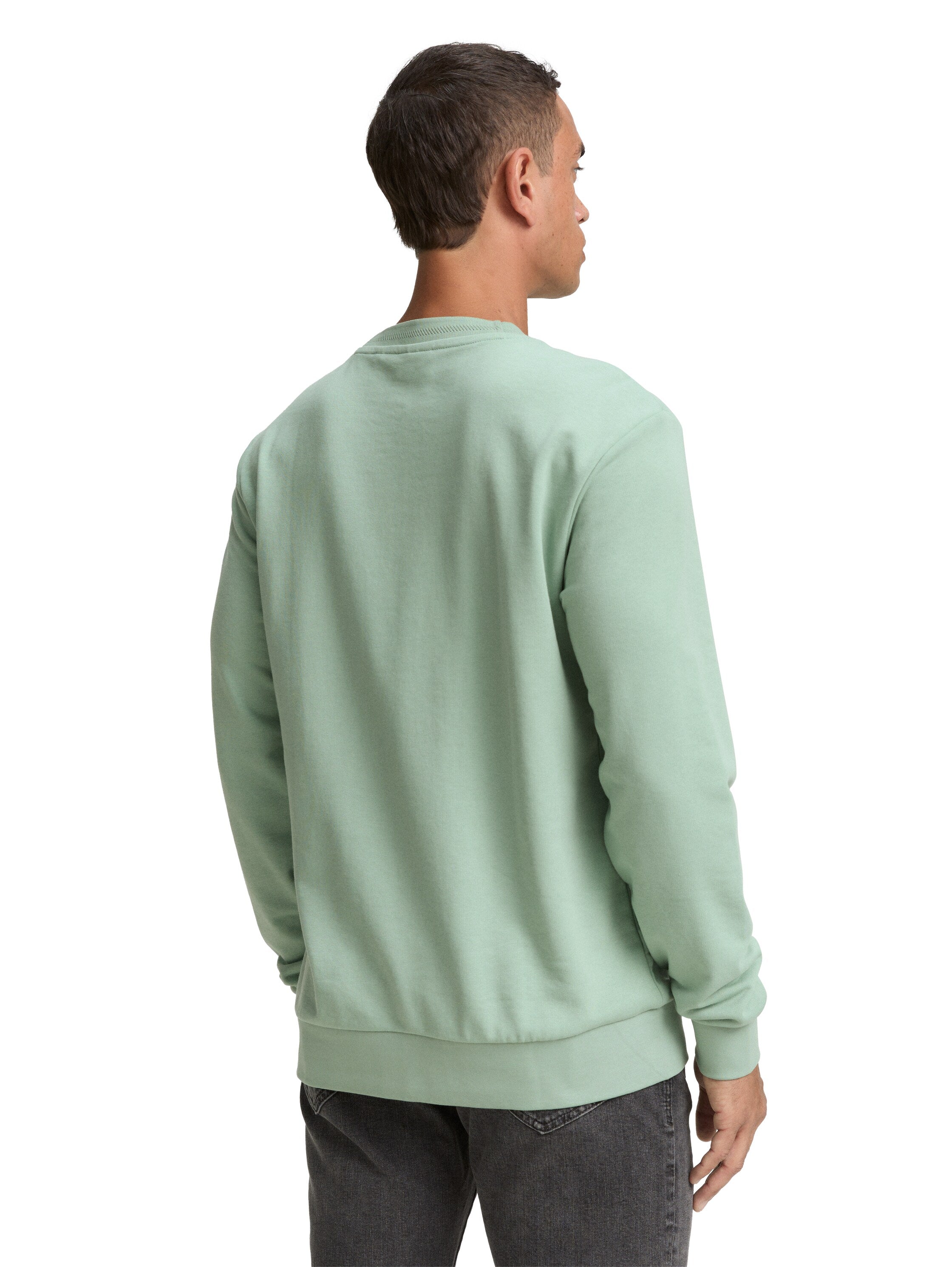 Tom Tailor Cotton Mint Round Neck Sweater