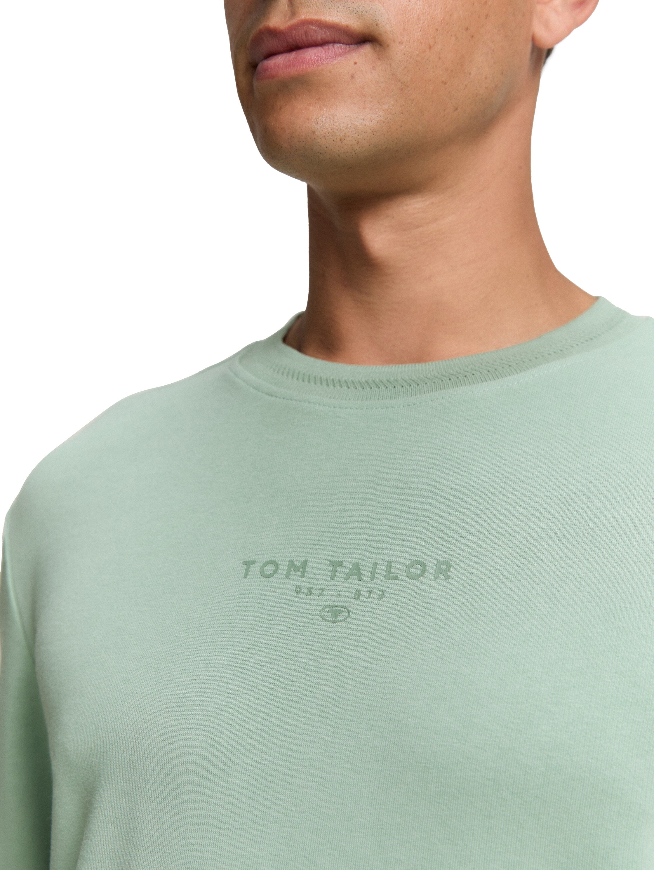 Tom Tailor Cotton Mint Round Neck Sweater