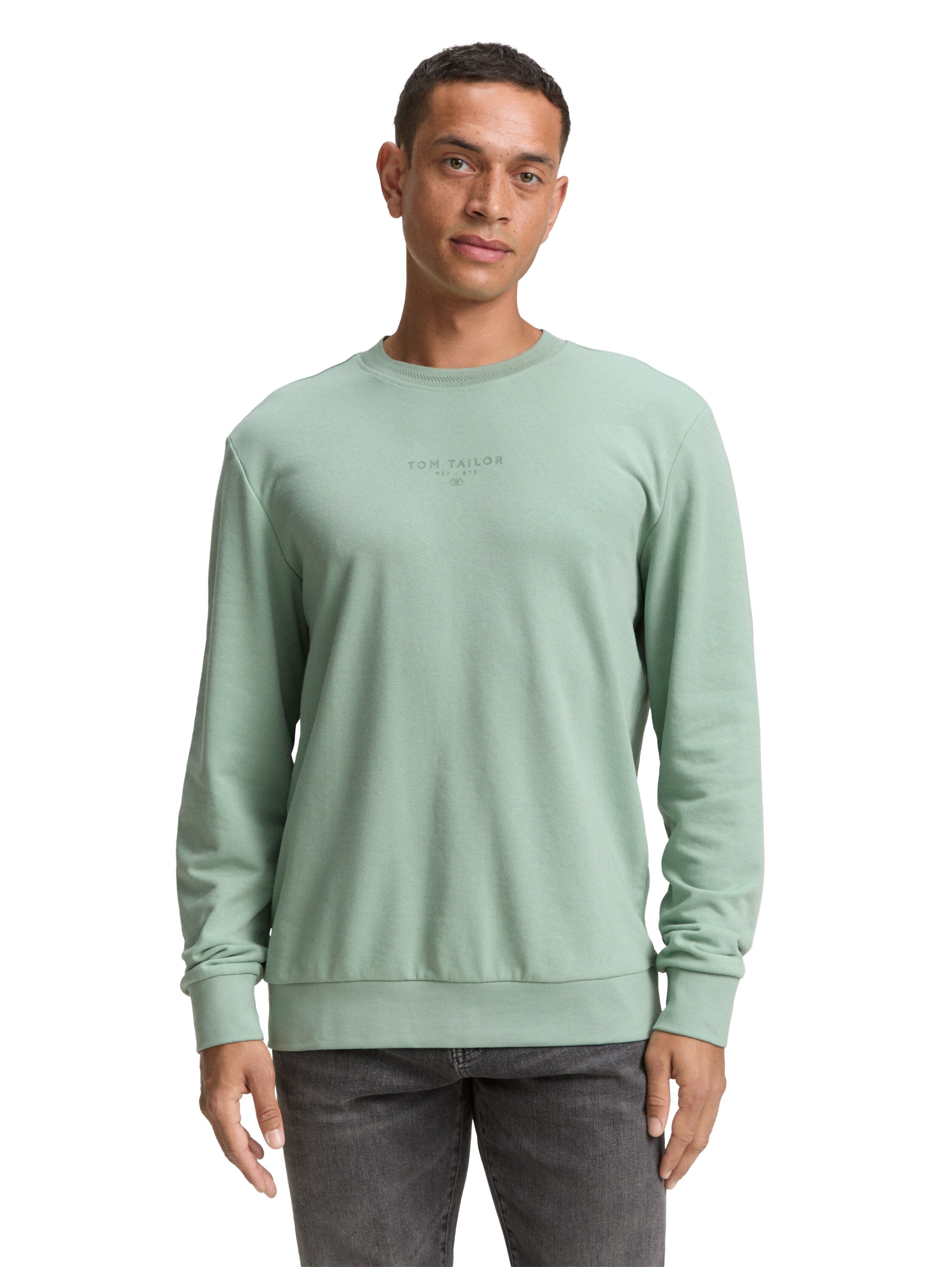 Tom Tailor Cotton Mint Round Neck Sweater