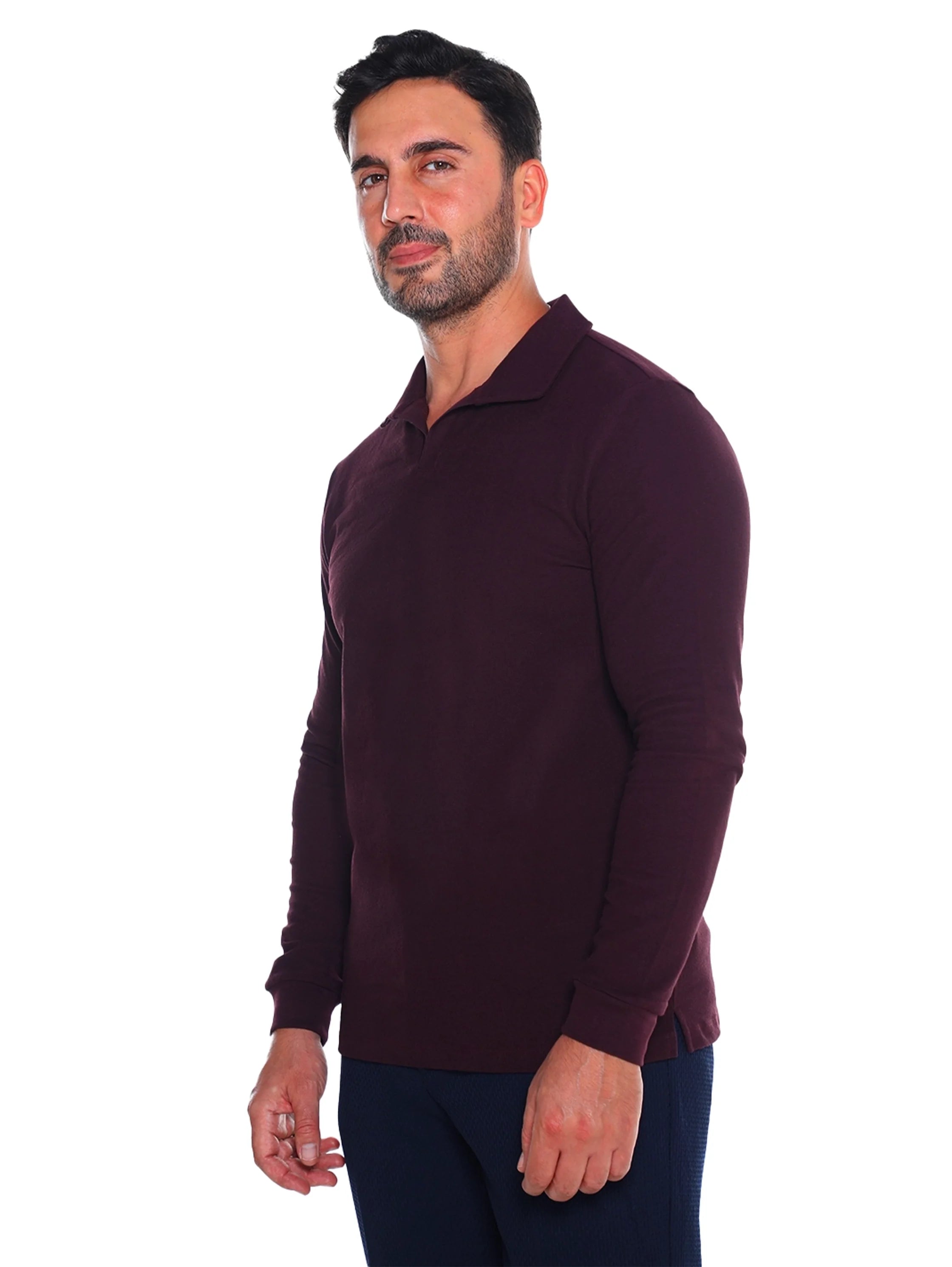 Bordo Casual Pullover With Polo Collar