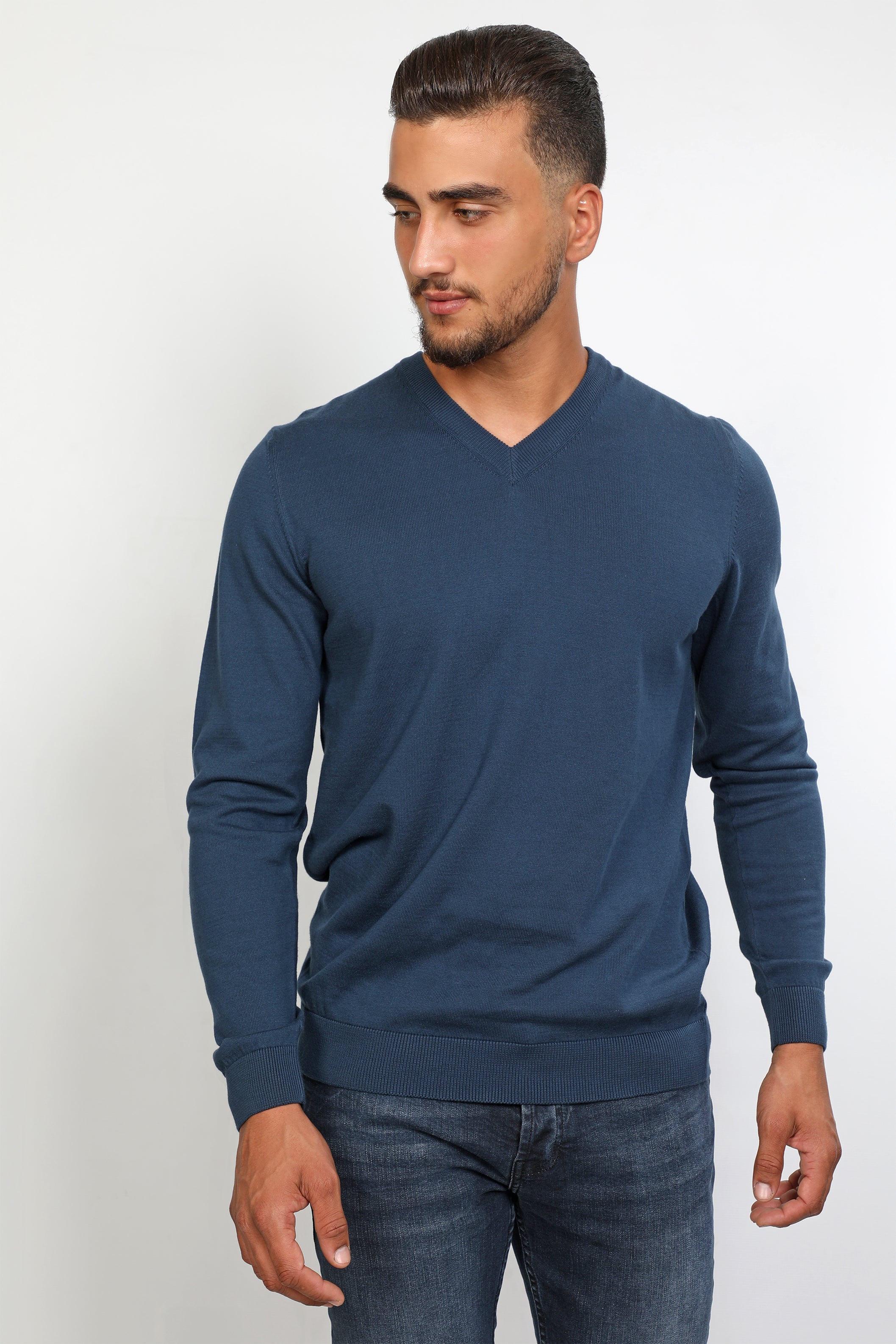 Men Basic V-Neck Indigo Sweater