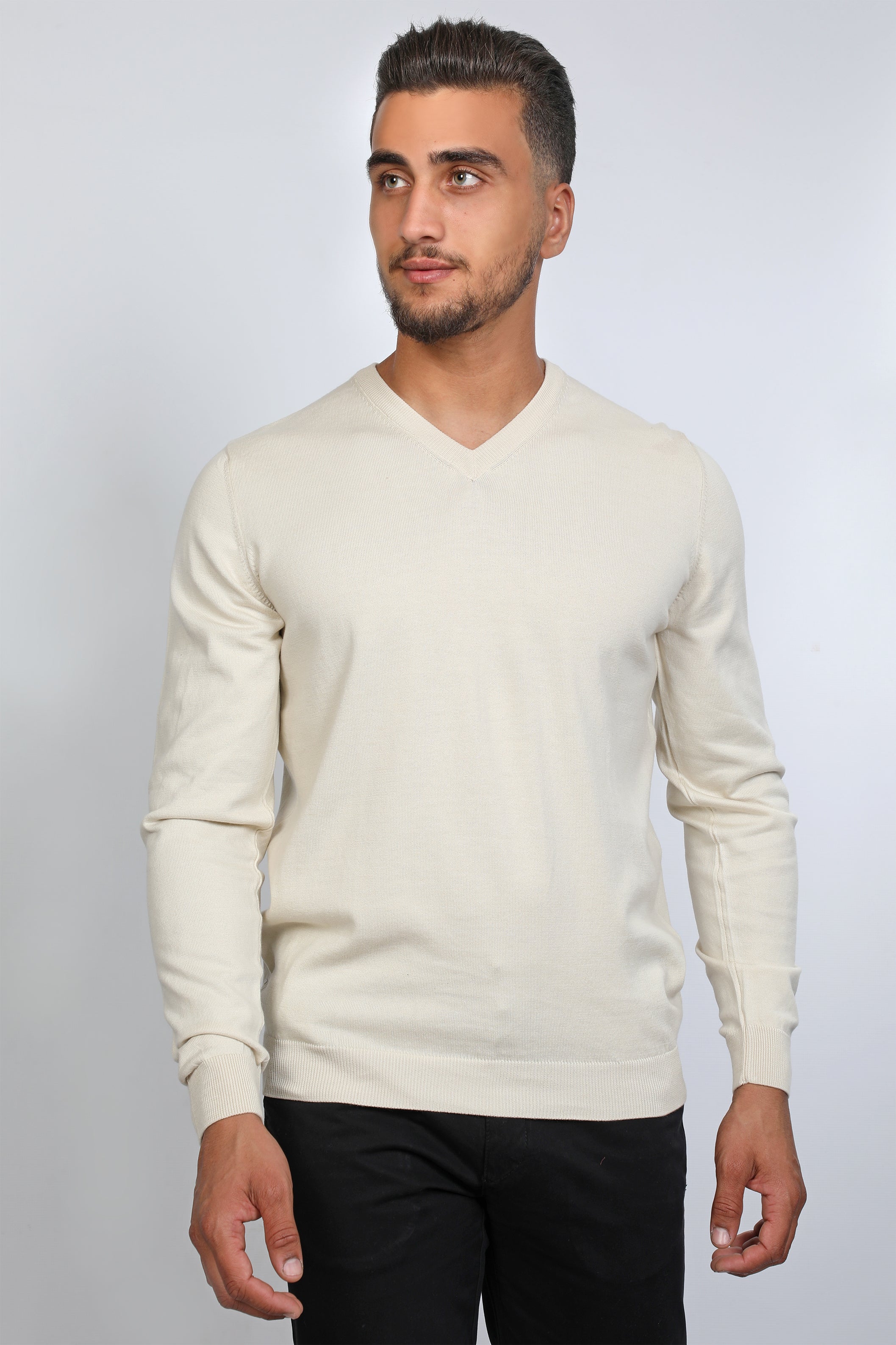 Men Basic V-Neck Beige Sweater